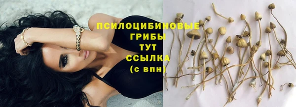 СК Лихославль