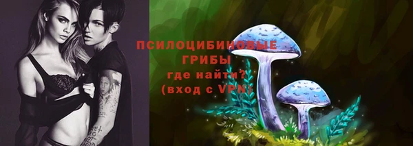 ECSTASY Липки
