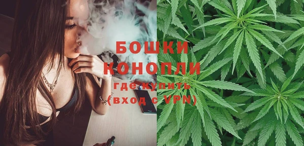 ECSTASY Липки