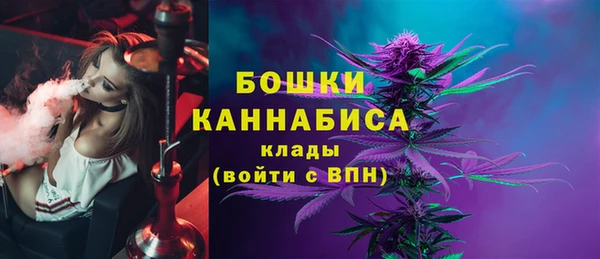 ECSTASY Липки