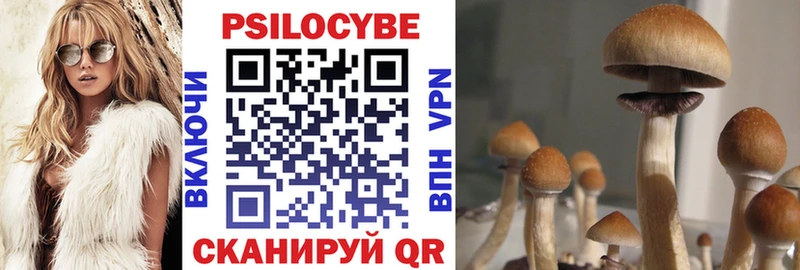 Псилоцибиновые грибы Psilocybine cubensis  Невельск 